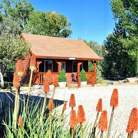 Arrowhead Country Cabins Vila Mount Carmel Exterior foto